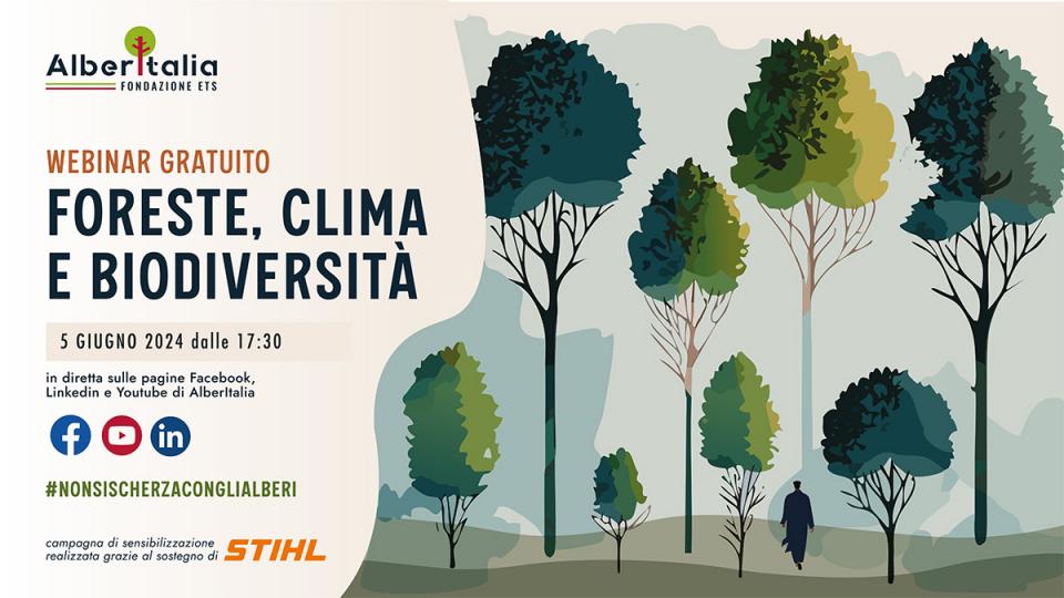 CAMPAGNA DIVULGATIVA "NON SI SCHERZA CON GLI ALBERI"